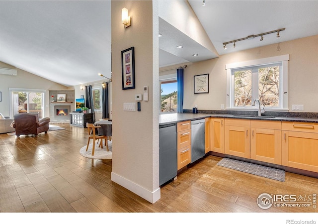 kitchen featuring a sink, light wood-type flooring, and stainless steel dishwasher