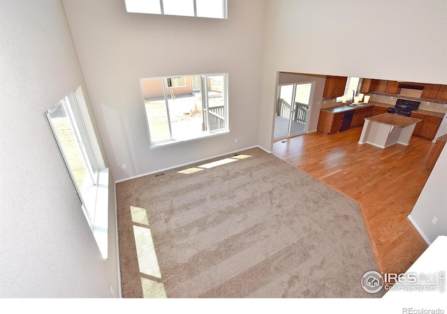 living area with a high ceiling, baseboards, and wood finished floors