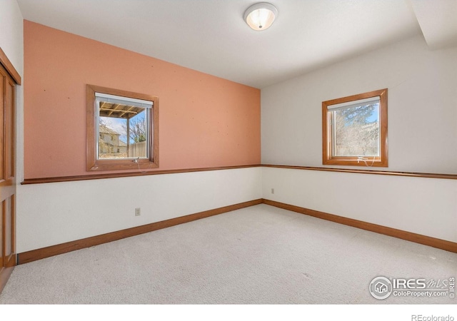 spare room featuring a wealth of natural light, baseboards, and carpet floors