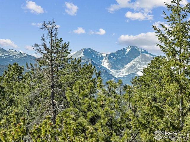726 Alpine Dr, Estes Park, CO 80517 - view of mountain backdrop