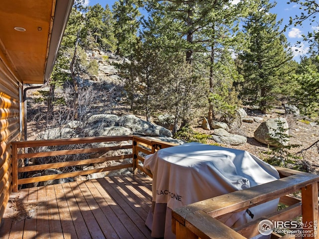 726 Alpine Dr, Estes Park, CO 80517 - deck with grilling area