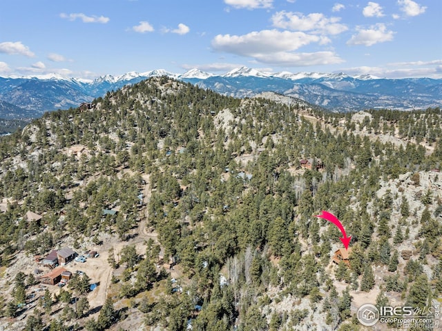 726 Alpine Dr, Estes Park, CO 80517 - mountain view