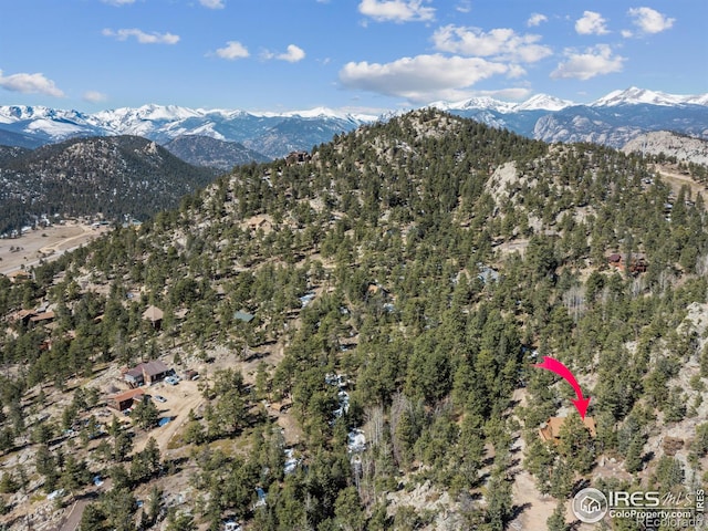 726 Alpine Dr, Estes Park, CO 80517 - view of mountain background