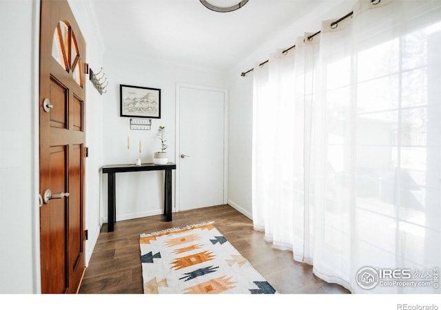 hallway featuring crown molding, wood finished floors, baseboards, and a healthy amount of sunlight