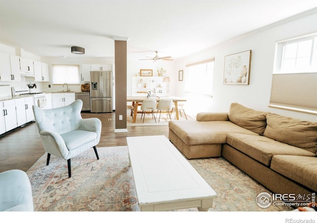 living room featuring plenty of natural light, a ceiling fan, and wood finished floors