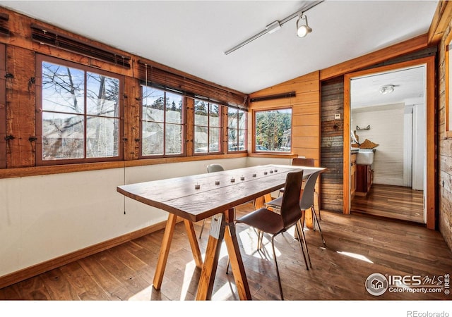 sunroom with track lighting and vaulted ceiling