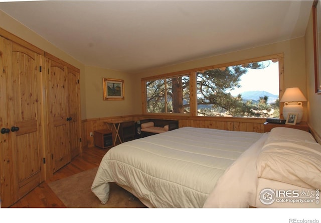 bedroom featuring wood finished floors, a mountain view, and wainscoting