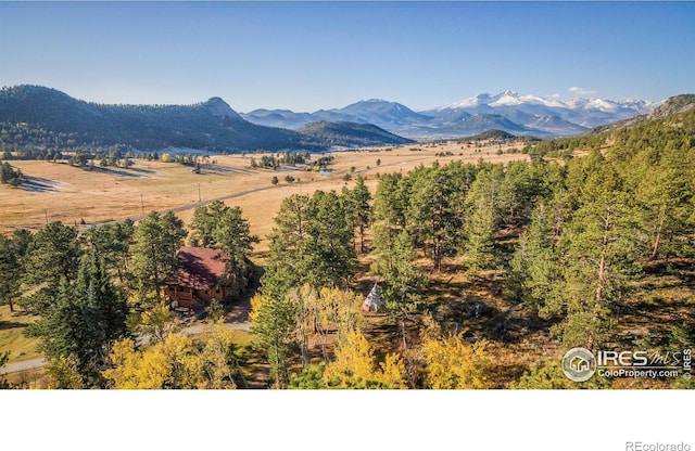 3501 Devils Gulch Rd, Estes Park, CO 80517 - view of mountain background