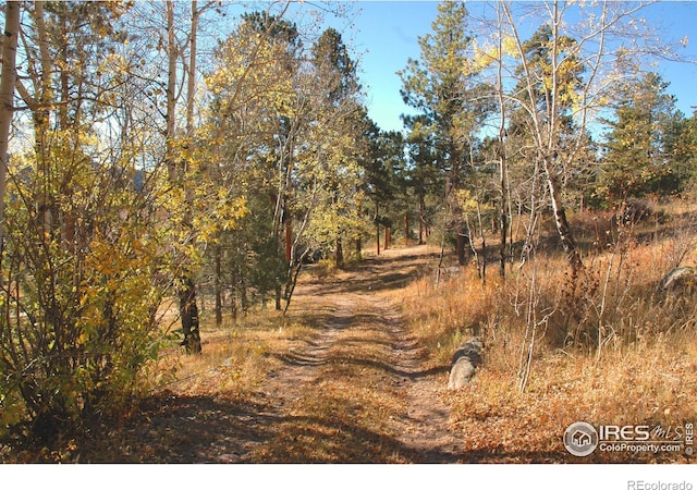 3501 Devils Gulch Rd, Estes Park, CO 80517 - view of nature