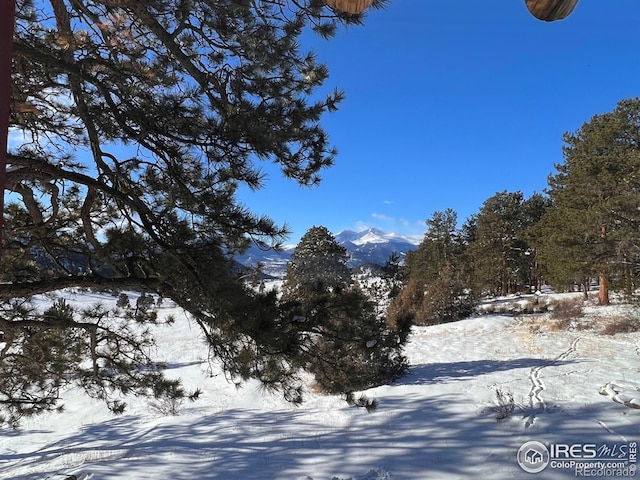 3501 Devils Gulch Rd, Estes Park, CO 80517 - mountain view