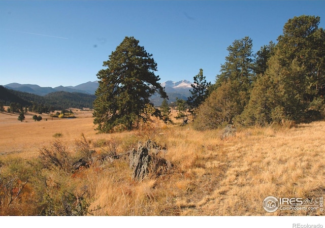 3501 Devils Gulch Rd, Estes Park, CO 80517 - mountain view with rural landscape