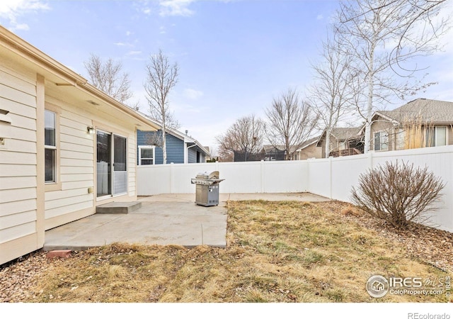 view of yard with a patio area and a fenced backyard