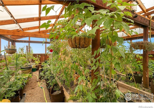 view of yard featuring a garden