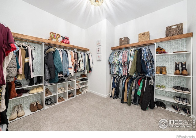 walk in closet with carpet flooring