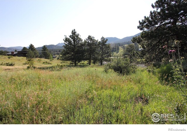 0 Clover Ln, Estes Park, CO 80517