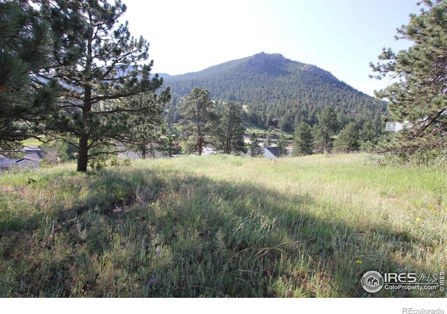 0 Clover Ln, Estes Park, CO 80517