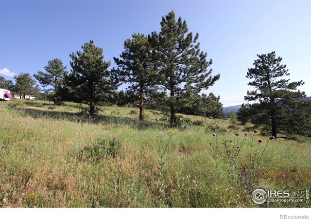 0 Clover Ln, Estes Park, CO 80517