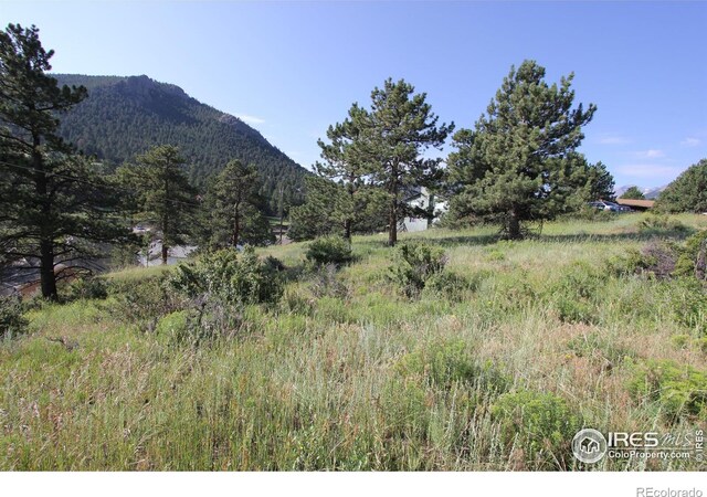 0 Clover Ln, Estes Park, CO 80517