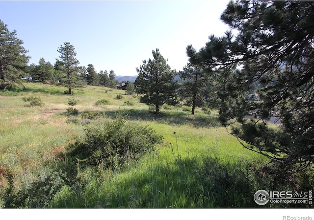 0 Clover Ln, Estes Park, CO 80517