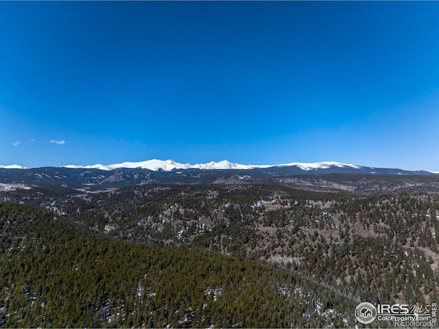 3153 Ridge Rd, Nederland, CO 80466 - photo 2
