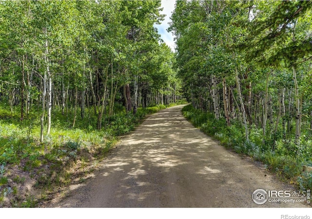 3153 Ridge Rd, Nederland, CO 80466 - photo 3