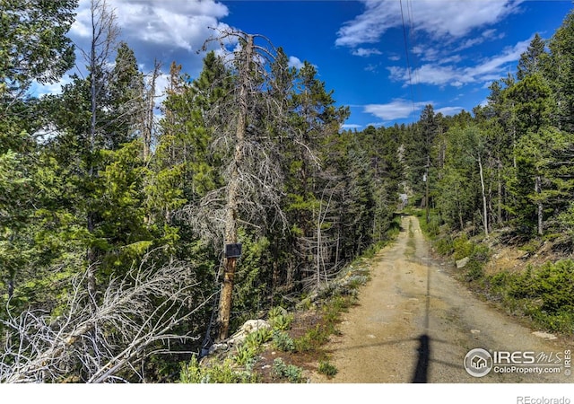 3153 Ridge Rd, Nederland, CO 80466 - photo 4