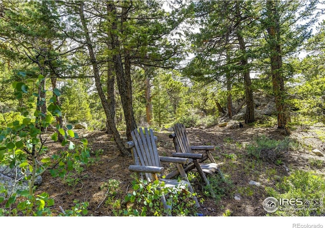 3153 Ridge Rd, Nederland, CO 80466 - photo 6