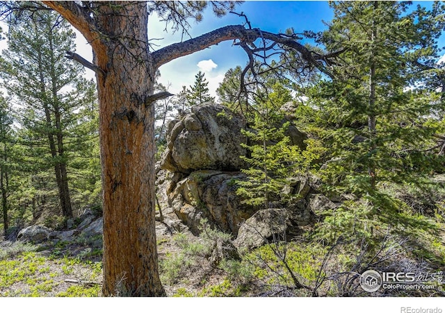 3153 Ridge Rd, Nederland, CO 80466 - photo 5