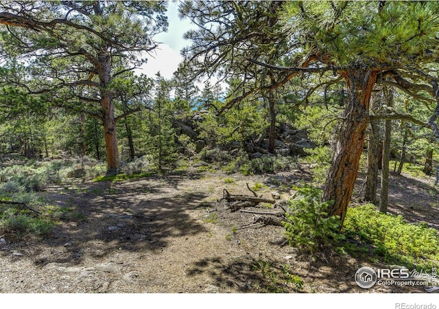 3153 Ridge Rd, Nederland, CO 80466 - photo 7