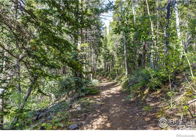3153 Ridge Rd, Nederland, CO 80466 - photo 8