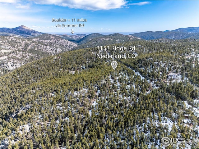 3153 Ridge Rd, Nederland, CO 80466 - photo 10