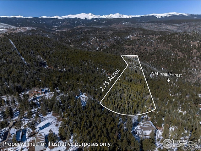 3153 Ridge Rd, Nederland, CO 80466 - photo 11