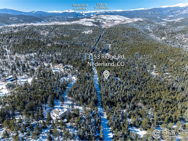 3153 Ridge Rd, Nederland, CO 80466 - photo 12