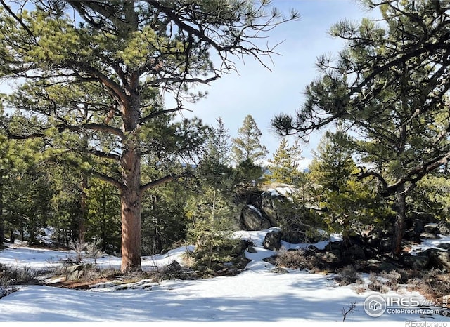3153 Ridge Rd, Nederland, CO 80466 - photo 13