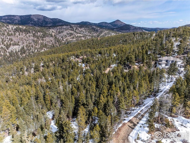 3153 Ridge Rd, Nederland, CO 80466 - photo 14