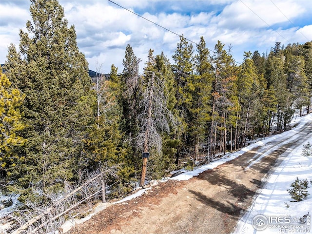 3153 Ridge Rd, Nederland, CO 80466 - photo 15