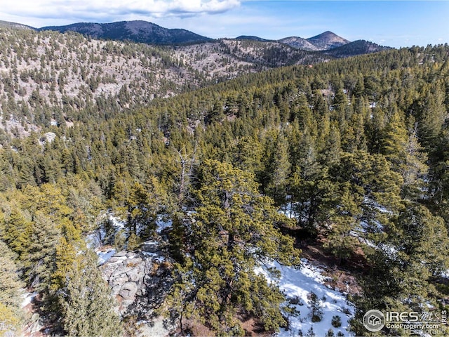 3153 Ridge Rd, Nederland, CO 80466 - photo 16