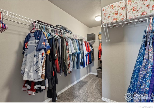 walk in closet with carpet floors