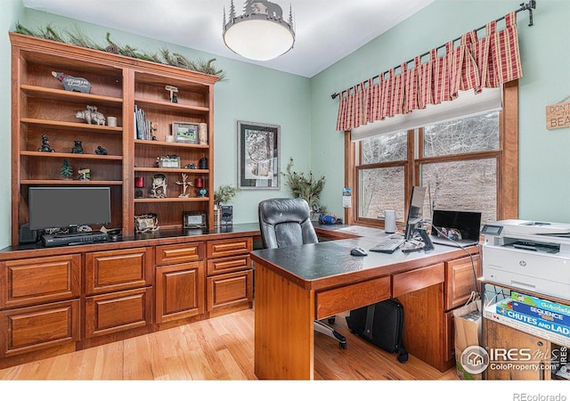9512 County Road 43, Glen Haven, CO 80532 - home office with light wood-style flooring
