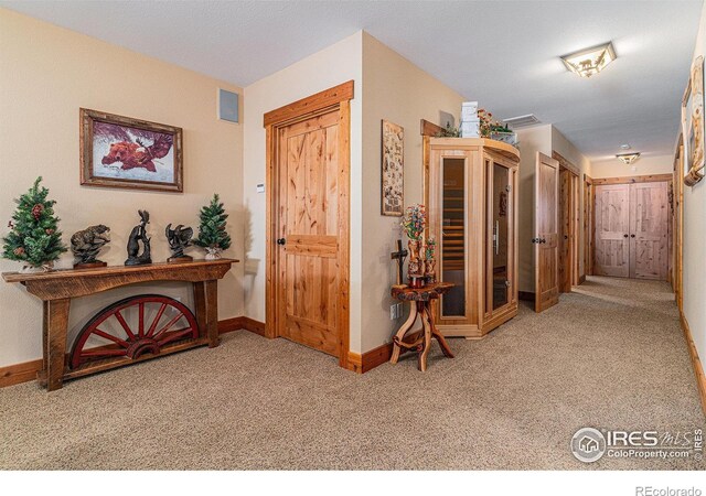 9512 County Road 43, Glen Haven, CO 80532 - hall featuring baseboards, visible vents, and carpet floors