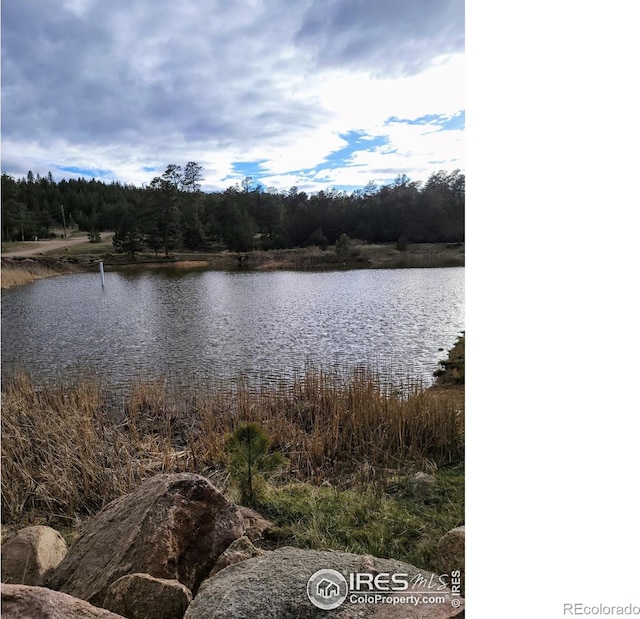 4092 Green Mountain Dr, Livermore, CO 80536