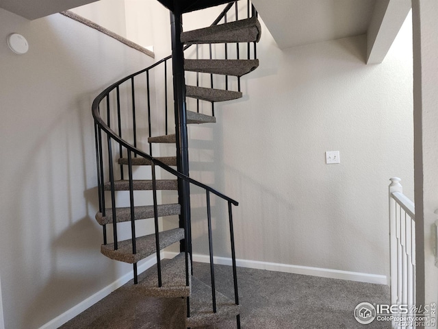 1512 12th Ave Unit 1, Greeley, CO 80631 - staircase featuring carpet