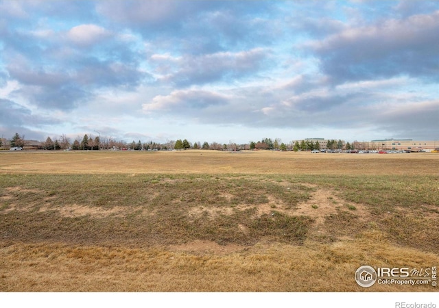 2120 Timber Creek Dr Unit 3, Fort Collins, CO 80528 - view of yard