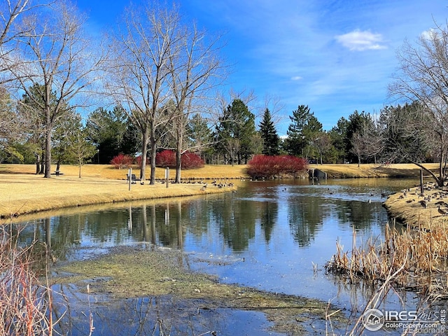 10895 W Half Moon Pass, Littleton, CO 80127 - water view