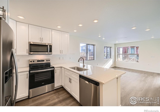kitchen with white cabinetry, tasteful backsplash, appliances with stainless steel finishes, and a sink