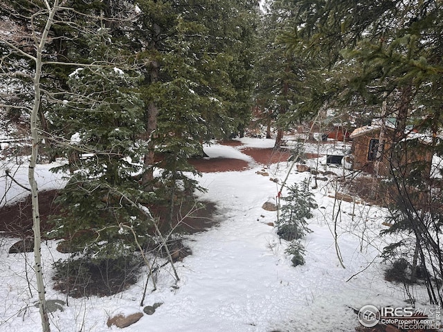 view of snowy yard