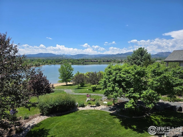 263 Rossum Dr, Loveland, CO 80537 - photo 2