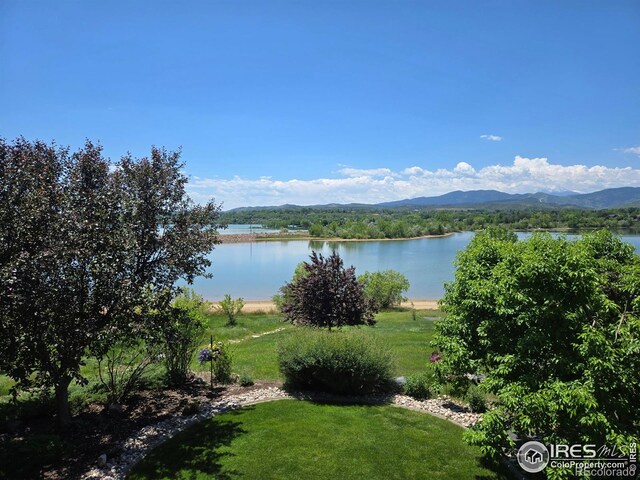 263 Rossum Dr, Loveland, CO 80537 - photo 3