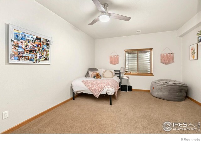 5702 Falling Water Dr, Fort Collins, CO 80528