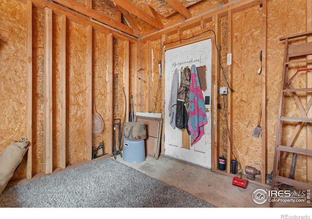 59 W Rustic Rd, Bellvue, CO 80512 - view of storage